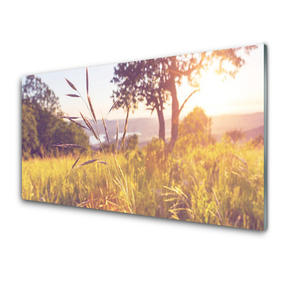 Glasbild aus Plexiglas® Wiese Gras Baum Natur