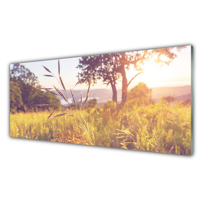 Glasbild aus Plexiglas® Wiese Gras Baum Natur