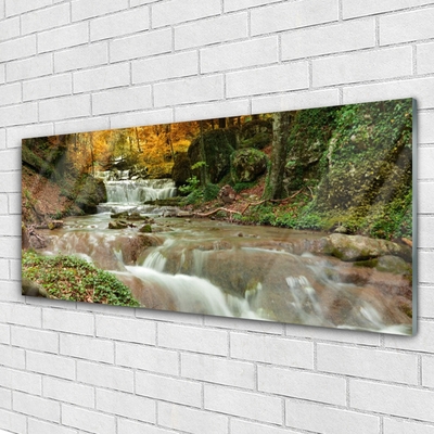 Glasbild aus Plexiglas® Wasserfall Wald Natur