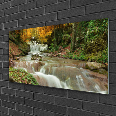 Glasbild aus Plexiglas® Wasserfall Wald Natur