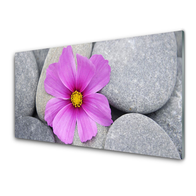 Glasbild aus Plexiglas® Blume Steine Pflanzen