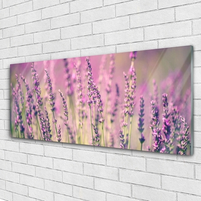 Glasbild aus Plexiglas® Blumen Pflanzen