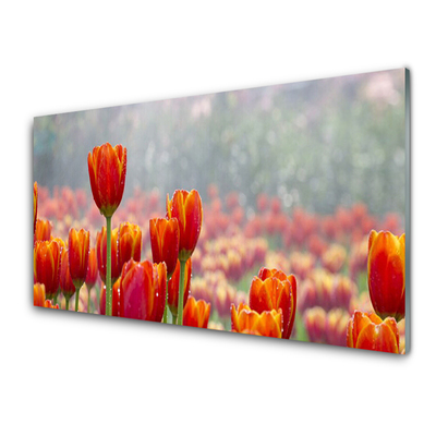 Glasbild aus Plexiglas® Tulpen Pflanzen