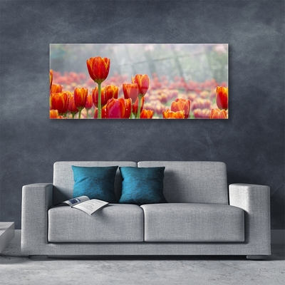 Glasbild aus Plexiglas® Tulpen Pflanzen