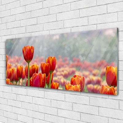 Glasbild aus Plexiglas® Tulpen Pflanzen