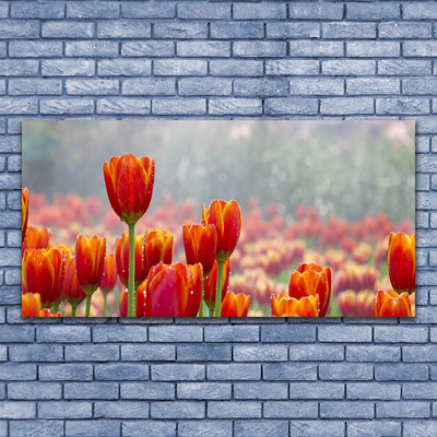 Glasbild aus Plexiglas® Tulpen Pflanzen