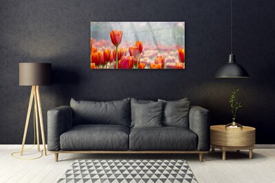 Glasbild aus Plexiglas® Tulpen Pflanzen