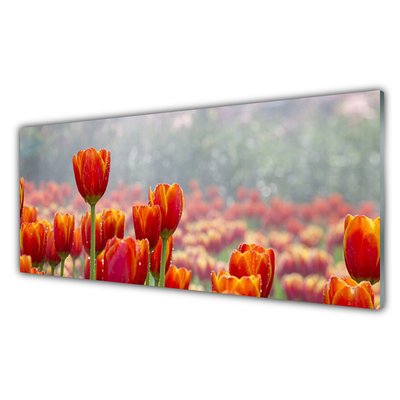 Glasbild aus Plexiglas® Tulpen Pflanzen