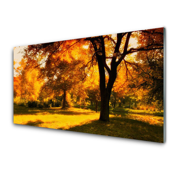 Glasbild aus Plexiglas® Bäume Natur