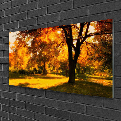 Glasbild aus Plexiglas® Bäume Natur