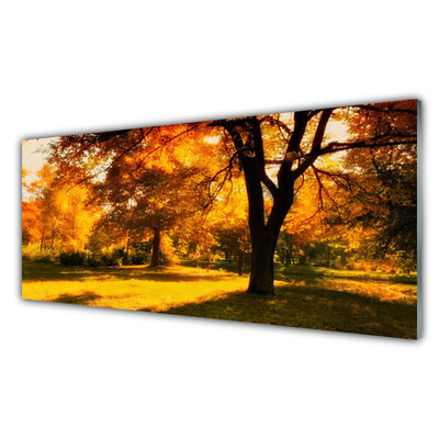 Glasbild aus Plexiglas® Bäume Natur