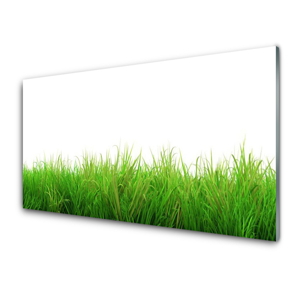 Glasbild aus Plexiglas® Gras Natur