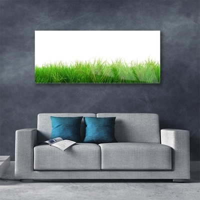 Glasbild aus Plexiglas® Gras Natur