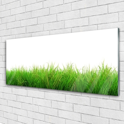 Glasbild aus Plexiglas® Gras Natur