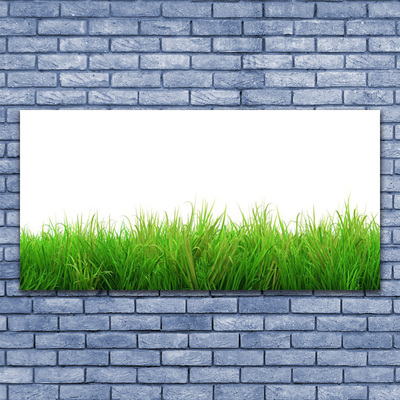 Glasbild aus Plexiglas® Gras Natur