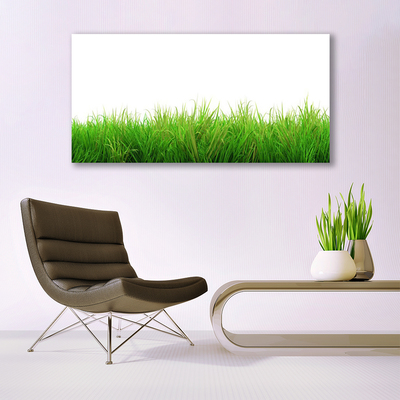 Glasbild aus Plexiglas® Gras Natur