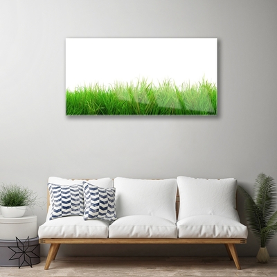 Glasbild aus Plexiglas® Gras Natur