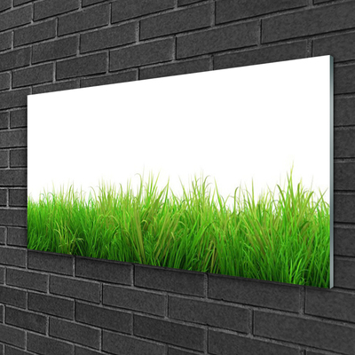 Glasbild aus Plexiglas® Gras Natur