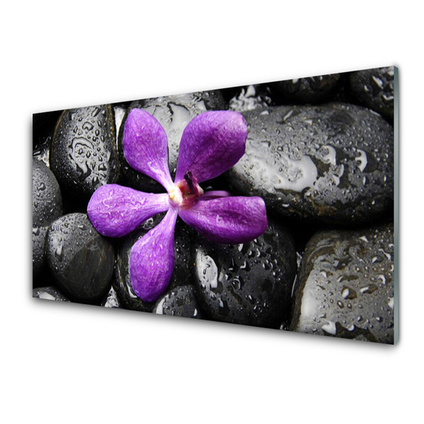 Glasbild aus Plexiglas® Blume Steine Kunst