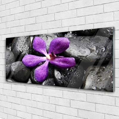 Glasbild aus Plexiglas® Blume Steine Kunst