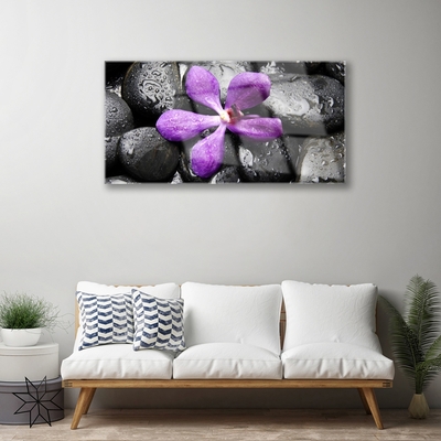 Glasbild aus Plexiglas® Blume Steine Kunst