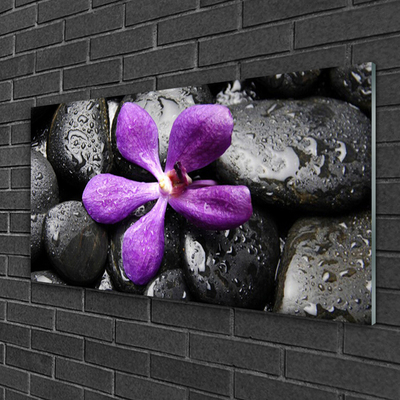 Glasbild aus Plexiglas® Blume Steine Kunst