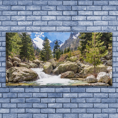 Glasbild aus Plexiglas® Gebirge Wald Steine See Natur