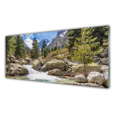 Glasbild aus Plexiglas® Gebirge Wald Steine See Natur