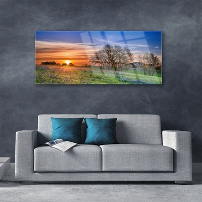 Glasbild aus Plexiglas® Wiese Sonne Landschaft