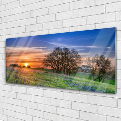 Glasbild aus Plexiglas® Wiese Sonne Landschaft