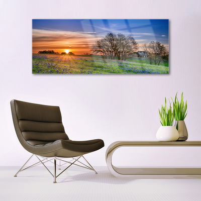 Glasbild aus Plexiglas® Wiese Sonne Landschaft