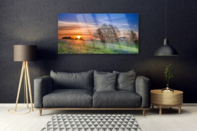 Glasbild aus Plexiglas® Wiese Sonne Landschaft