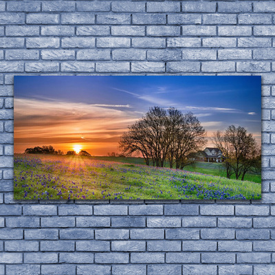 Glasbild aus Plexiglas® Wiese Sonne Landschaft