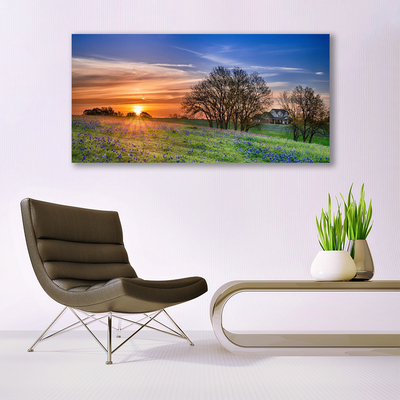 Glasbild aus Plexiglas® Wiese Sonne Landschaft