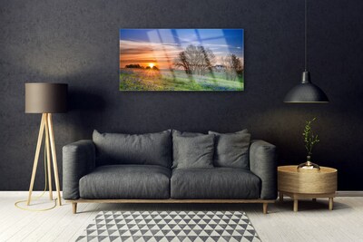 Glasbild aus Plexiglas® Wiese Sonne Landschaft