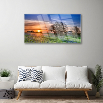 Glasbild aus Plexiglas® Wiese Sonne Landschaft