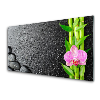 Glasbild aus Plexiglas® Bambusrohre Blume Steine Pflanzen