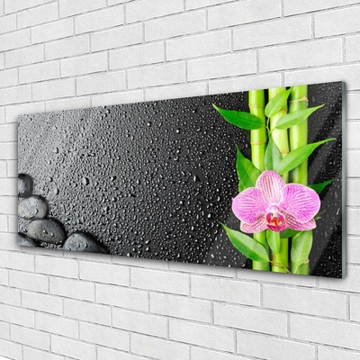 Glasbild aus Plexiglas® Bambusrohre Blume Steine Pflanzen