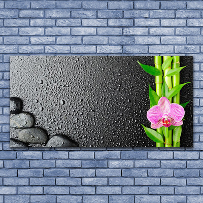 Glasbild aus Plexiglas® Bambusrohre Blume Steine Pflanzen