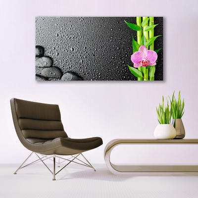 Glasbild aus Plexiglas® Bambusrohre Blume Steine Pflanzen