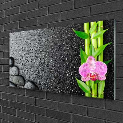 Glasbild aus Plexiglas® Bambusrohre Blume Steine Pflanzen