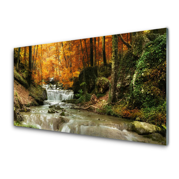 Glasbild aus Plexiglas® Wasserfall Wald Natur