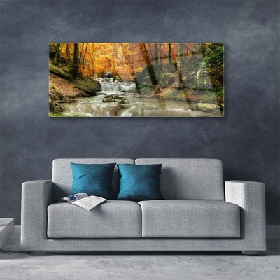 Glasbild aus Plexiglas® Wasserfall Wald Natur