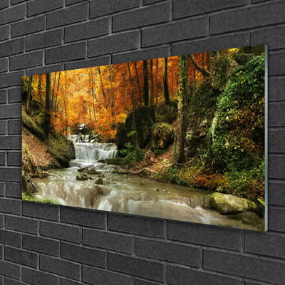 Glasbild aus Plexiglas® Wasserfall Wald Natur