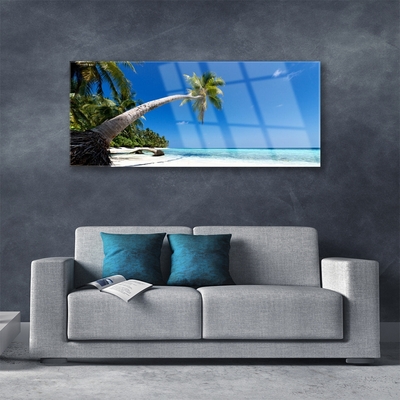 Glasbild aus Plexiglas® Strand Palme Meer Landschaft