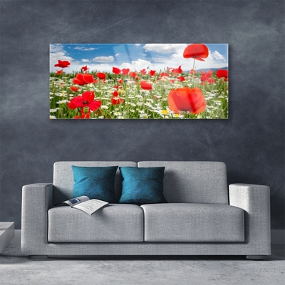 Glasbild aus Plexiglas® Wiese Blumen Natur