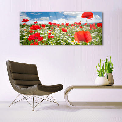 Glasbild aus Plexiglas® Wiese Blumen Natur