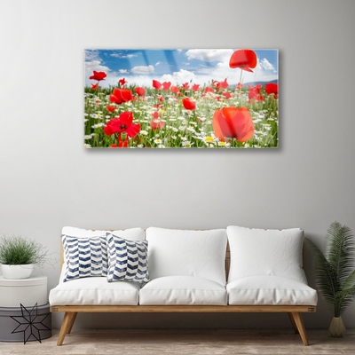 Glasbild aus Plexiglas® Wiese Blumen Natur