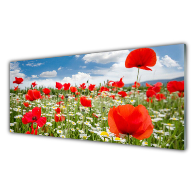 Glasbild aus Plexiglas® Wiese Blumen Natur