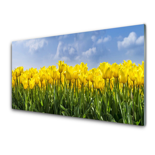 Glasbild aus Plexiglas® Tulpen Pflanzen